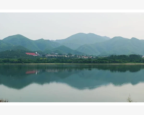 四味脾胃舒止疼效果如何？全面解析