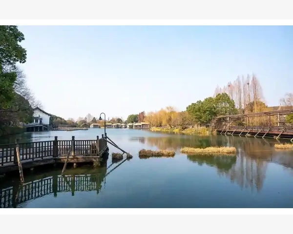 拔罐后紫黑色是怎么调理的？